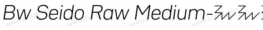 Bw Seido Raw Medium字体转换